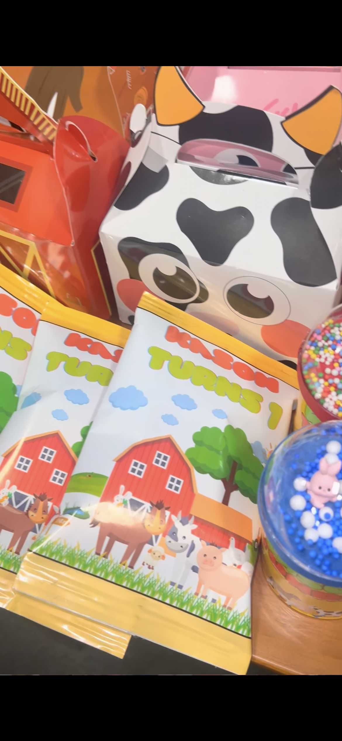 Custom Chip Bags, Birthday Chip favors, Personalized Chip Bag